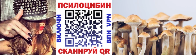 Галлюциногенные грибы GOLDEN TEACHER Берёзовский